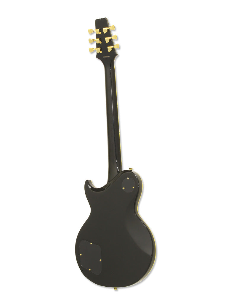 Aria Pro II PE-350 CST Electric Guitar – Pelican Beach Music LLC